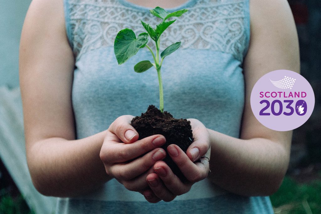 Woman holding small plant